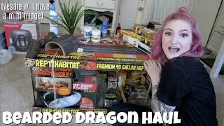 Перевозка бородатого дракона + установка вольера 🌱🐉