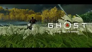 Ghost of Tsushima bandits fight...