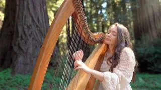 Healing Harp in the Redwood Grove (1 Hour) | Sarah Bhalla