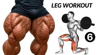 6 Best Legs Exercises You Need for Mass - leg workout