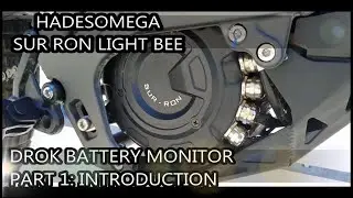 Drok Battery Monitor for Litespeed Battery Part 1 - Introduction