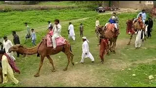 Baraat , beautiful culture marriage ceremony village Mohan Chakwal