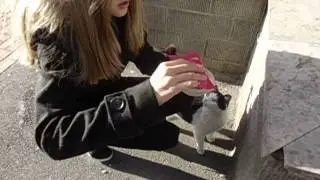 MOV00487