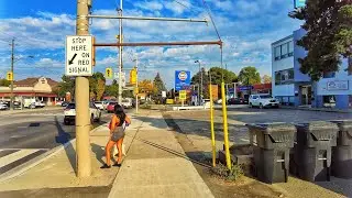 Toronto Walk - Wilson Ave, Clanton Park