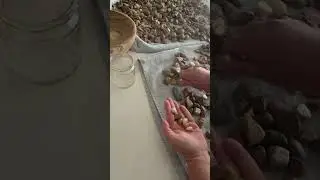 Sorting Rocks | Relaxing Rockhounding & Lapidary Process 🪨