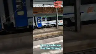 Perony na dworcu PKP Wrocław Gł&oacute;wny, odjazdy pociąg&oacute;w ❤️ #podr&oacute;że #travel #train #trip #train