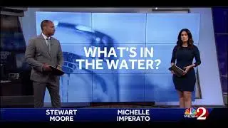 Seminole County officials discuss concerns about compound in water | NeJame Law