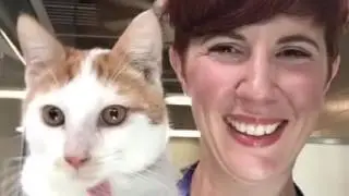 Meow-ga! Yoga with Cats