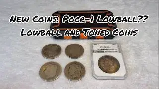 New Morgan Silver Dollars: Poor-1 Lowball Candidate! Lowballs plus one Toner. 