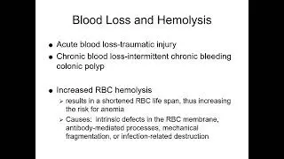 Anemias Red Blood Cell Morphology and Approach to Diagnosis