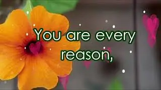 Love you Quotes for him/i love you quotes for him,: Cute Love Quotes for Boyfriend/Loved one