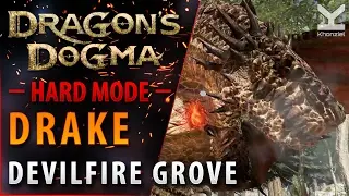Dragon's Dogma - Boss - Drake - Devilfire Grove