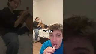 Оно слишком много ест 😂