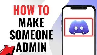 How to make someone admin on discord (2024)