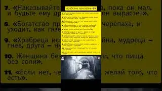 Арабские крылатые выражения #саморазвитие #цитаты