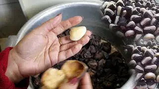 SINGHARA RECIPE | WATER NUT | CHESTNUT | WATER CHESTNUT BOILING TIMING