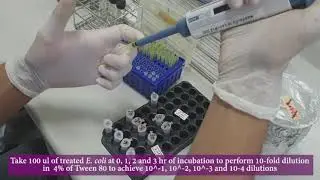 Time Kill Assay