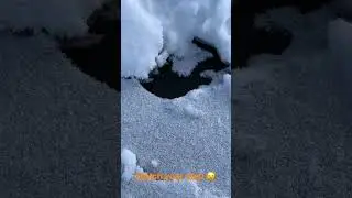 Danger: A Slippery Trek on Mendenhall Glacier's Thin Ice | The Public Traveler #thepublictraveler