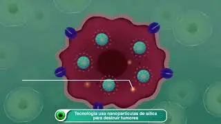 Tecnologia usa nanopartículas de sílica para destruir tumores