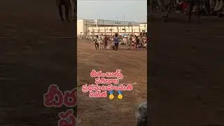 Beeram subramanswar gari seniors bulls 🔥🔥🔥 1st place 🏆🥇🥇