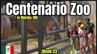 FREE Zoo Adventure in M&eacute;rida, Mexico! | Centenario Zoo Family Travel Guide