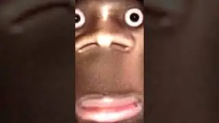 Daddy Long Neck slapped to death
