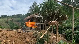We Caught A Chicken And Cooked It.  Raising Chickens In The Forest.