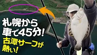 2023年5月13日　石狩古潭漁港横のサーフでクロガシラカレイ爆釣　#クロガシラカレイ  #投げ釣り  #北海道投げ釣り  #やわたろうくまたろう