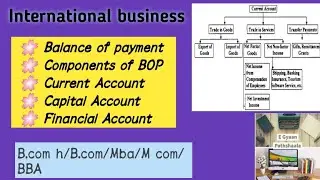 Balance Of Payment |Components | Current, Capital, Financial Account | Unit 3 Part 7 | BBA/MBA/M.com