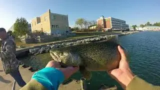 KING SALMON harbor fishing-- Kenosha Wisconsin(Lake Michigan)