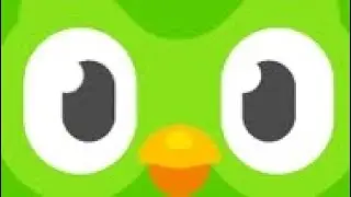 How to use dou lingo app tutorial 