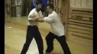 Chen Zhonghua & Mike Calandra 2003 (1)
