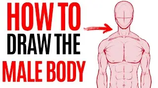 HOW TO DRAW THE MALE BODY