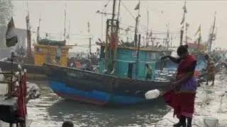 sassoon dock fish market colaba mumbai