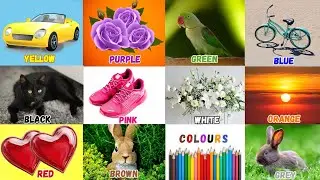 We Love all the Colors |Colors for Toddlers|Learn English Vocabulary for preschoolers|Nursery Rhymes