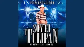 Soy El Tulipán (En Vivo)