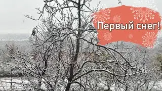 VLOG: Готовим протеиновый тирамису / Первый снег / Кофе по расписанию ❄️ 19.11.2025