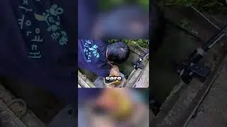 A stray dog was rescued from a sewer after many days