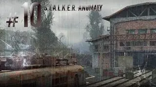 S.T.A.L.K.E.R. Anomaly #10 (Ученый)