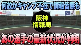 【何故かキャンプ不在で情報皆無も】遂にあの選手の最新状況が掴めた件について【阪神タイガース】