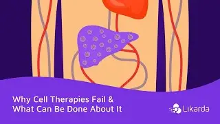 Why Cell Therapies Fail And What Can Be Done About It
