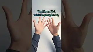 Top 5 beautiful tricks in penspinning 😻😻 #penspinning #bizorus #shorts