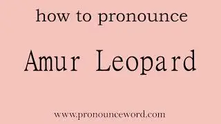 Amur Leopard: How to pronounce Amur Leopard in english (correct!).Start with A. Learn from me.