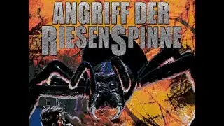 SchleFaZ - Angriff der Riesenspinne