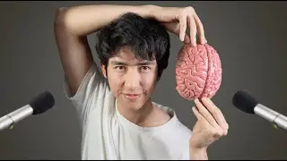 ASMR put your phone down and sleep