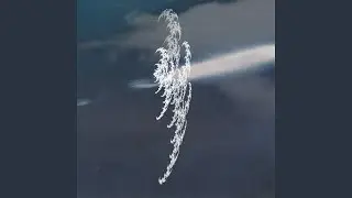 Extropy