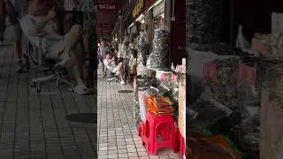 Chinese Medicine Wholesale Market-Guangzhou #travel #chinesemedicine  #guangzhou #china #wholesale