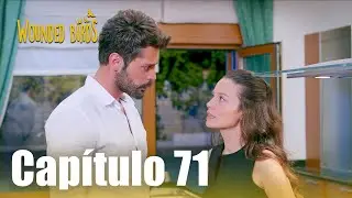 Omer Sue&ntilde;os Robados | Cap&iacute;tulo 71 (versi&oacute;n larga)