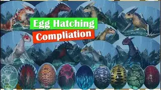 Baby DRAGON Compilation, Egg Hatching to Adults! | Century: Age of Ashes