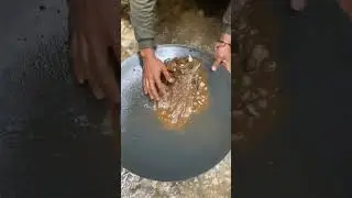 Discovery of large gold deposits #discovery#large#gold
